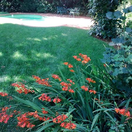יוהנסבורג Rosebank Lodge Guesthouse By Claires מראה חיצוני תמונה
