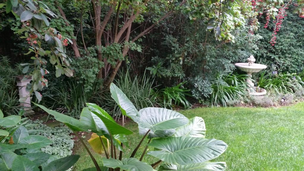 יוהנסבורג Rosebank Lodge Guesthouse By Claires מראה חיצוני תמונה