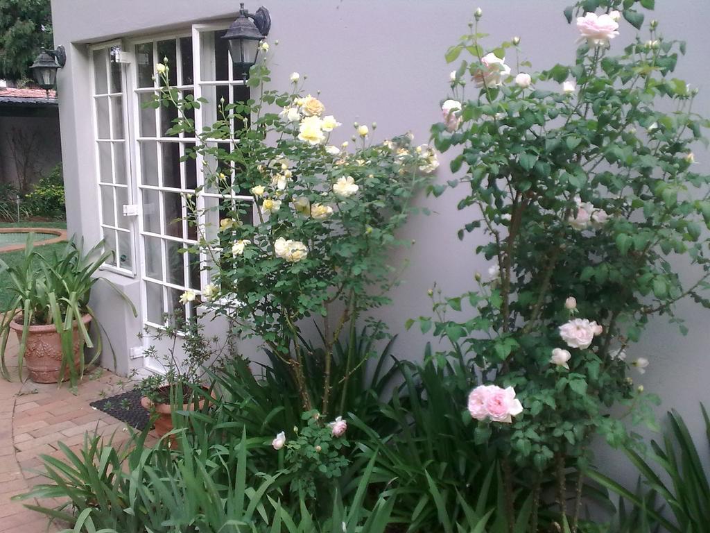 יוהנסבורג Rosebank Lodge Guesthouse By Claires מראה חיצוני תמונה