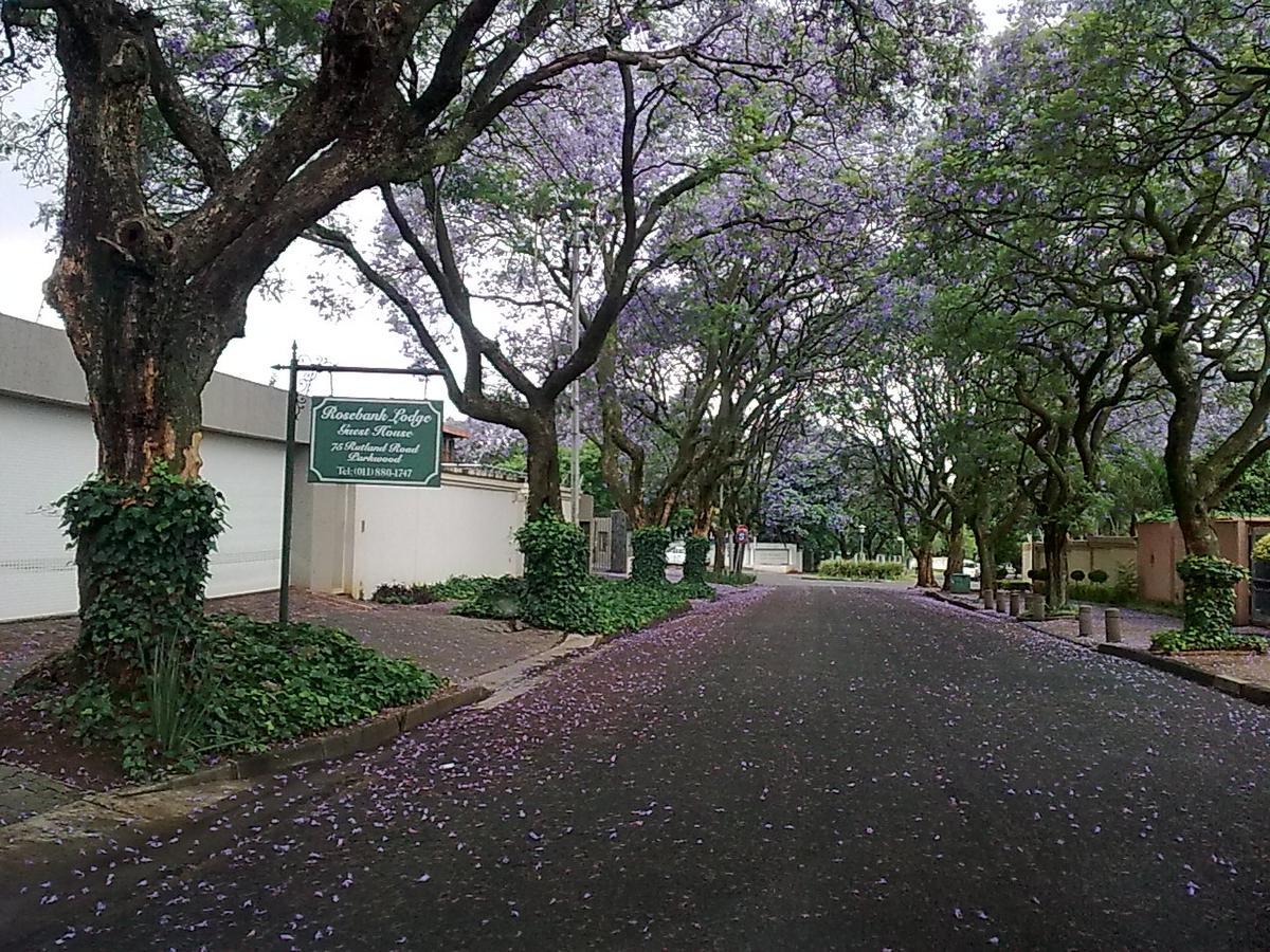 יוהנסבורג Rosebank Lodge Guesthouse By Claires מראה חיצוני תמונה