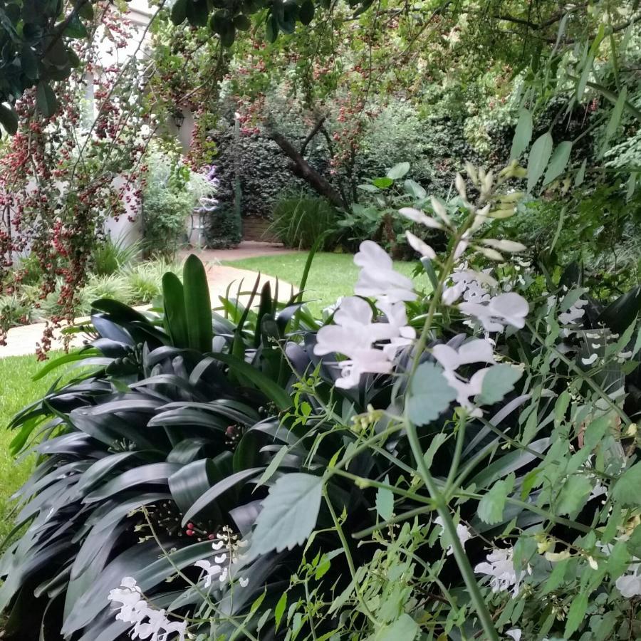 יוהנסבורג Rosebank Lodge Guesthouse By Claires מראה חיצוני תמונה